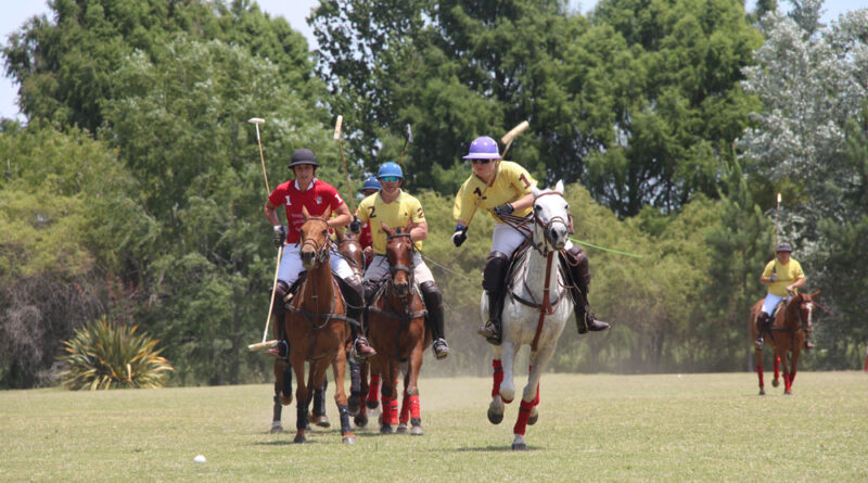polo in Argentina