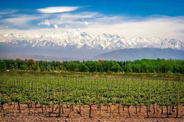 Argentina’s wine regions